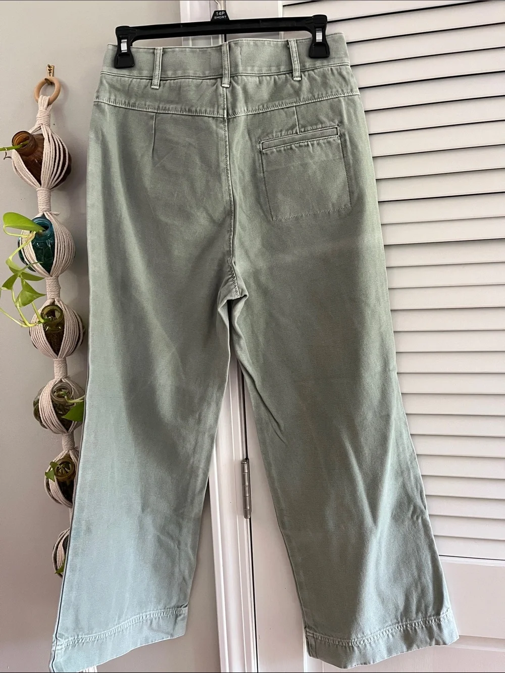 Marine Layer Sage Green Cotton Trousers